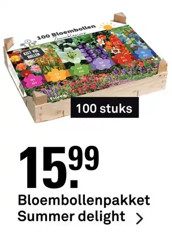 Karwei Bloembollenpakket summer delight aanbieding