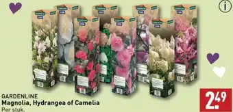 ALDI GARDENLINE Magnolia, Hydrangea of Camelia aanbieding