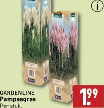 ALDI GARDENLINE Pampasgras aanbieding