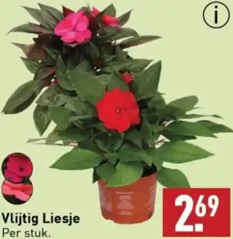 ALDI Vlijtig Liesje aanbieding