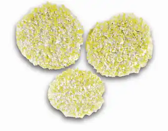 Bol.com Kärcher Polierpads FP 303 Steen/Linoleum/PVC (3 st.) aanbieding