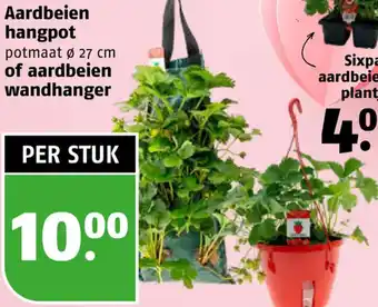 Poiesz Aardbeien hangpot of aardbeien wandhanger aanbieding