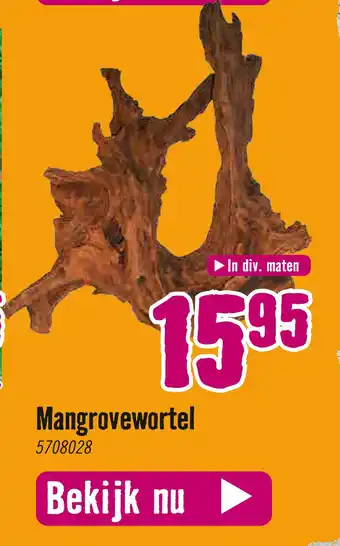 Hornbach Mangrovewortel 5708028 aanbieding