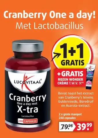 Lucovitaal Cranberry One a day X-tra aanbieding