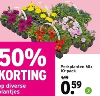 GAMMA Perkplanten Mix 10-pack aanbieding