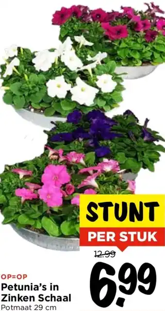 Vomar Voordeelmarkt Petunia's in Zinken Schaal aanbieding