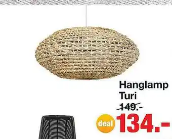 Budget Home Store Hanglamp turi aanbieding