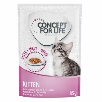 Zooplus 12x85g Kitten in Gelei Concept for Life Kattenvoer aanbieding