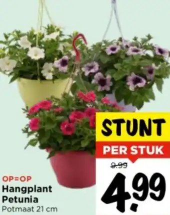 Vomar Voordeelmarkt Hangplant Petunia 21 cm aanbieding