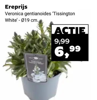 Tuincentrum Osdorp Ereprijs aanbieding