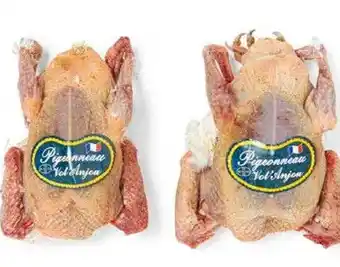 HANOS Les Charmilles Pigeonneau d'Anjou aanbieding