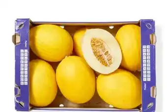 HANOS Honingmeloen aanbieding