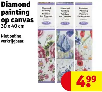 Kruidvat Diamond painting op canvas 30 x 40 cm aanbieding