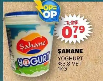 Sahan Supermarkten ŞAHANE YOGHURT %3.8 VET aanbieding
