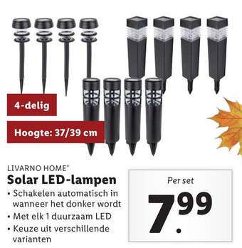 Lidl Livarno Home Solar Led-Lampen aanbieding