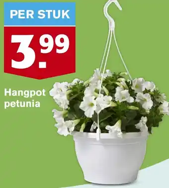 Hoogvliet Hangpot petunia aanbieding