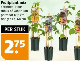 Poiesz Fruitplant mix aanbieding