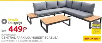 Praxis CENTRAL PARK LOUNGESET SCAELEA aanbieding