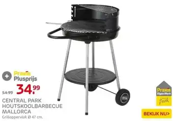 Praxis CENTRAL PARK HOUTSKOOLBARBECUE MALLORCA aanbieding