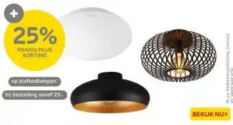 Praxis plafondlampen aanbieding