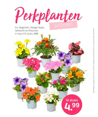 Coppelmans Perkplanten aanbieding