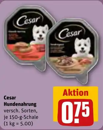 Rewe DE Cesar Hundenahrung 150g aanbieding
