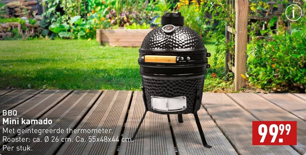 BBQ Mini kamado Ø26 cm aanbieding bij ALDI