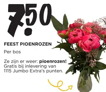 Jumbo FEEST PIOENROZEN aanbieding