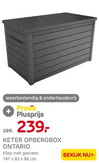 Praxis KETER OPBERGBOX ONTARIO aanbieding