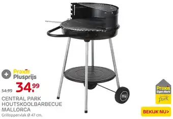 Praxis CENTRAL PARK HOUTSKOOLBARBECUE MALLORCA Ø 47 cm aanbieding