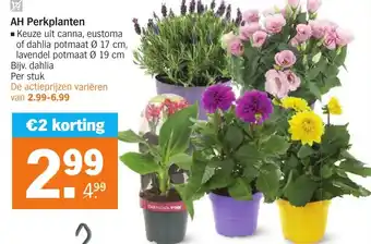 Albert Heijn Perkplanten aanbieding