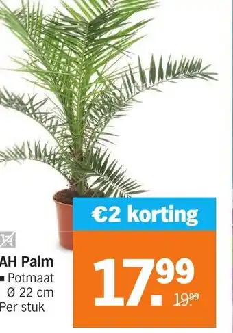 Albert Heijn Palm per stuk aanbieding