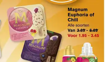 Hoogvliet Magnum Euphoria of Chill aanbieding