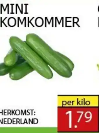 Tanger Markt MINI KOMKOMMER aanbieding