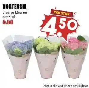 MCD Supermarkt HORTENSIA aanbieding