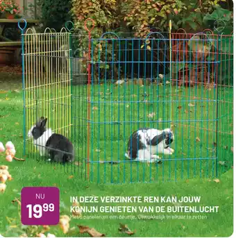 Pets & Co IN DEZE VERZINKTE REN KAN JOUW KONIJN GENIETEN VAN DE BUITENLUCHT aanbieding