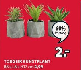 Jysk TORGEIR KUNSTPLANT aanbieding