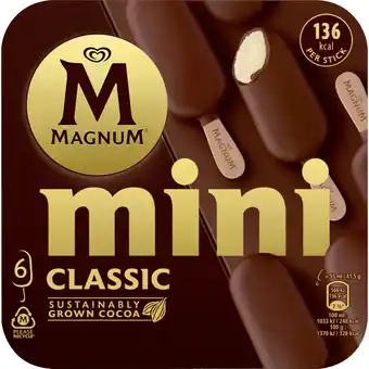 Dekamarkt Ola Magnum mini classic aanbieding