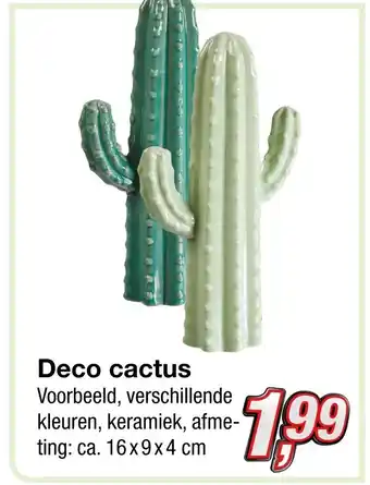 Kik Deco cactus aanbieding