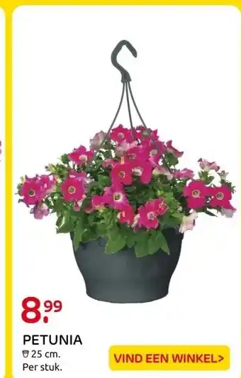 Praxis PETUNIA aanbieding