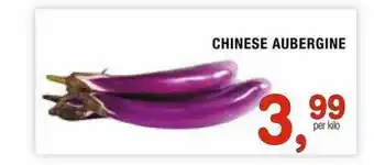 Amazing Oriëntal Chinese Aubergine aanbieding