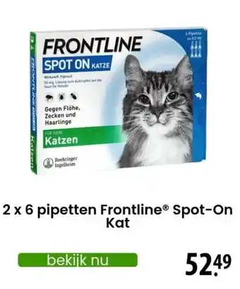 Zooplus Frontline ongediertebestrijding Spot-On Kat 6 pipetten aanbieding