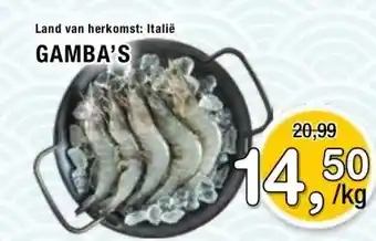 Amazing Oriëntal GAMBA'S aanbieding