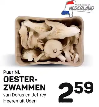 Ekoplaza OESTERZWAMMEN aanbieding