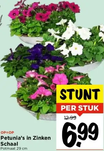 Vomar Voordeelmarkt Petunia's in Zinken Schaal aanbieding