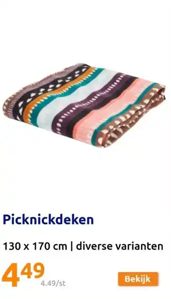 Action Picknickdeken 130 x 170 cm aanbieding