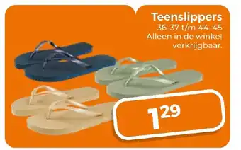 Trekpleister Teenslippers aanbieding