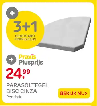 Praxis PARASOLTEGEL BISC CINZA aanbieding