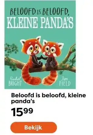 The Read Shop Beloofd is beloofd, kleine panda's aanbieding