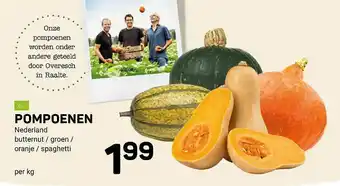 Ekoplaza Pompoenen Butternut - Groen - Oranje - Spaghetti aanbieding